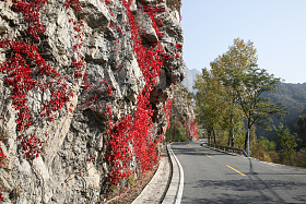 北京郊区的公路
