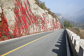 北京郊区的公路
