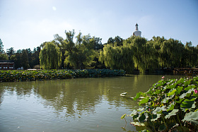 北京北海公园图片