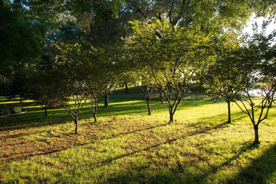 北京北海公园图片 北京北海公园图片