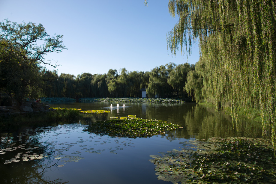 北京圆明园公园照片