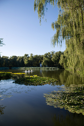 北京圆明园公园图片
