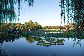 北京圆明园公园图片