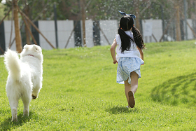 小女孩在草地上玩耍照片