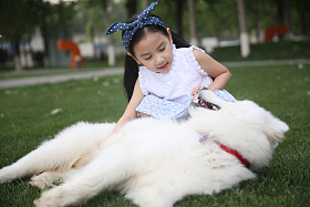 小女孩和狗在草地上玩耍