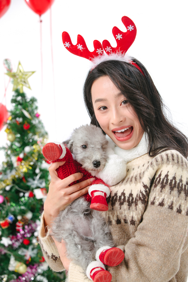 抱着宠物狗的青年女人过圣诞 抱着宠物狗的青年女人过圣诞