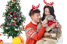 抱着宠物狗的青年情侣过圣诞