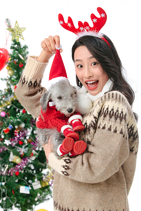 抱着宠物狗的青年女人过圣诞