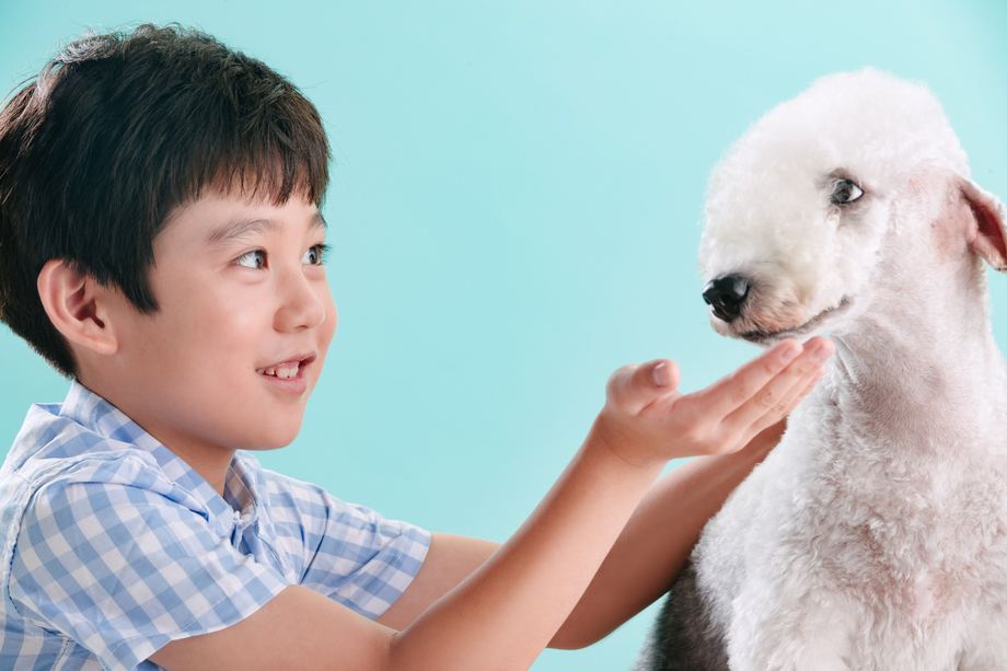 小男孩和宠物狗