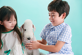 两个小伙伴和宠物狗图片