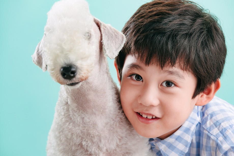 小男孩和宠物狗