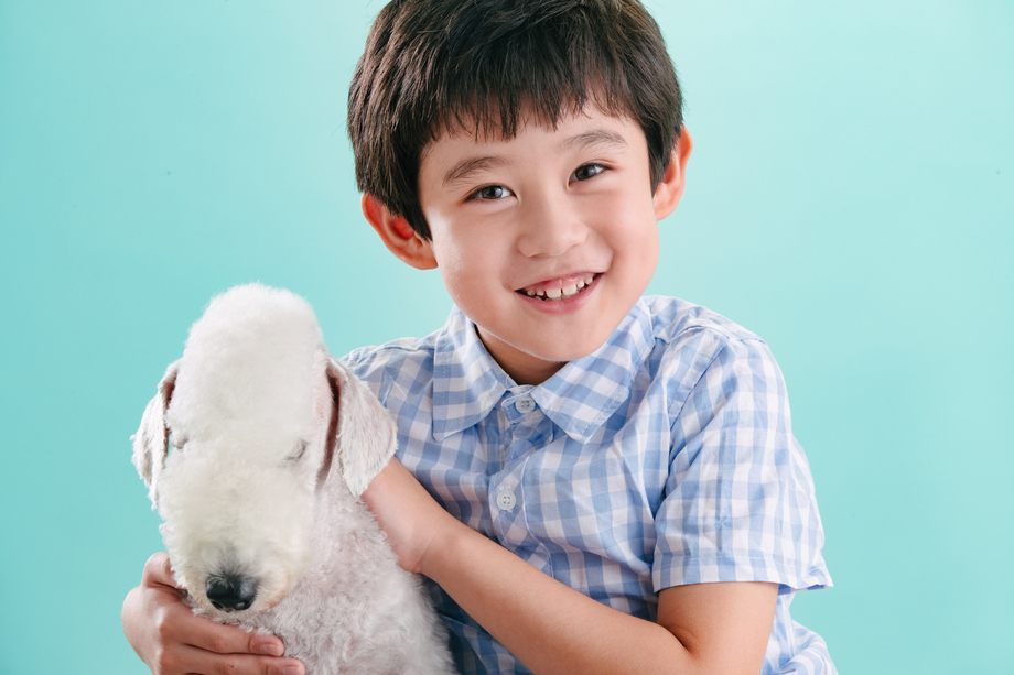 小男孩和宠物狗 小男孩和宠物狗