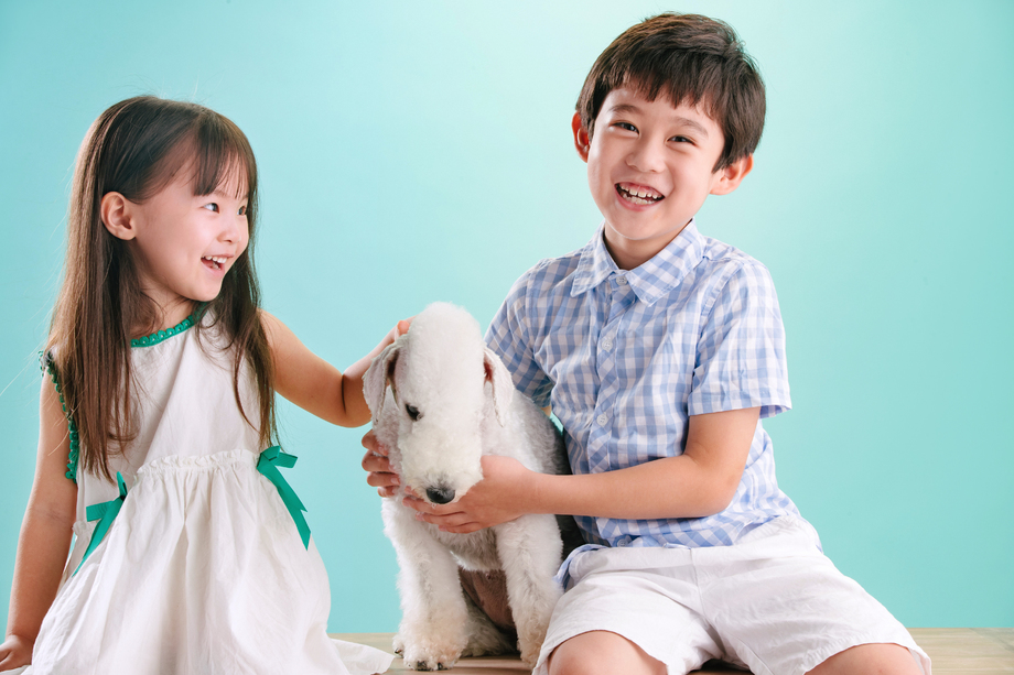 两个小伙伴和宠物狗 两个小伙伴和宠物狗