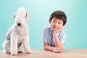 小男孩和宠物狗