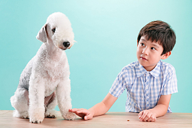 小男孩和宠物狗