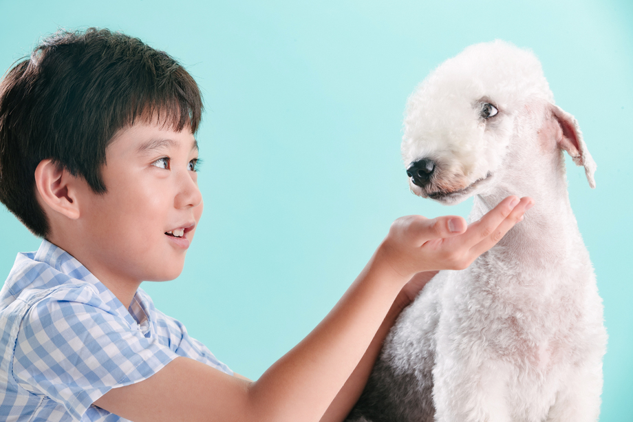 小男孩和宠物狗图片