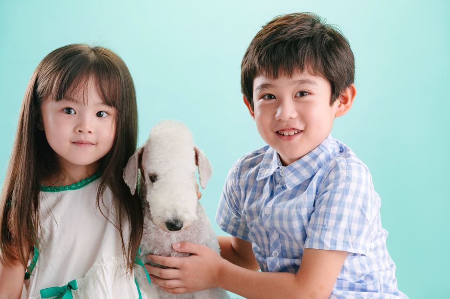 两个小伙伴和宠物狗 两个小伙伴和宠物狗