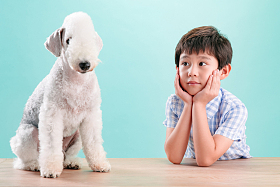 小男孩和宠物狗图片
