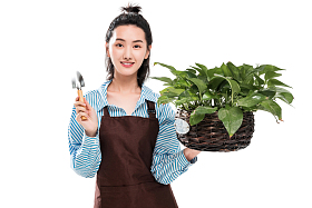 青年园艺工修剪盆栽