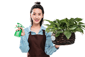 青年园艺工修剪盆栽