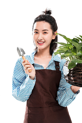 青年园艺工修剪盆栽