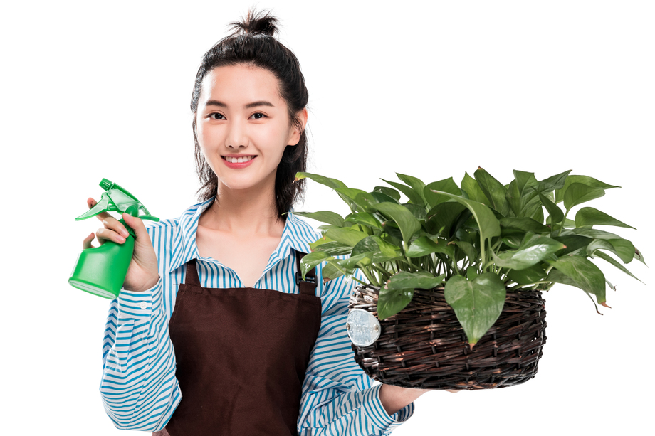 青年园艺工修剪盆栽图片