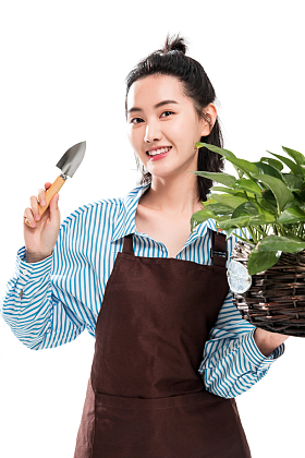 青年园艺工修剪盆栽照片