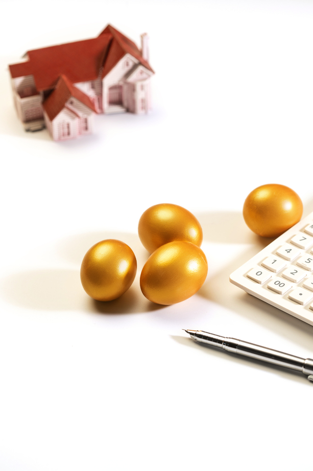 房屋模型和金蛋照片 房屋模型和金蛋照片