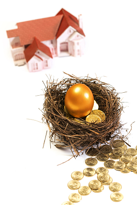 房屋模型和鸟巢里的金蛋金