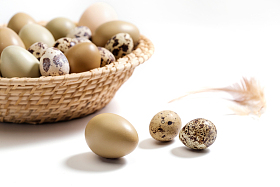 一筐鸡蛋鸭蛋鹌鹑蛋和鸡毛图片