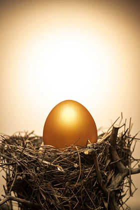 鸟窝里的金蛋图片