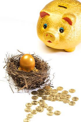 金猪存钱罐和鸟巢里的金币金蛋