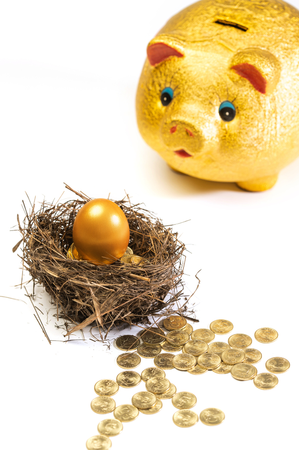 金猪存钱罐和鸟巢里的金币金蛋 金猪存钱罐和鸟巢里的金币金蛋