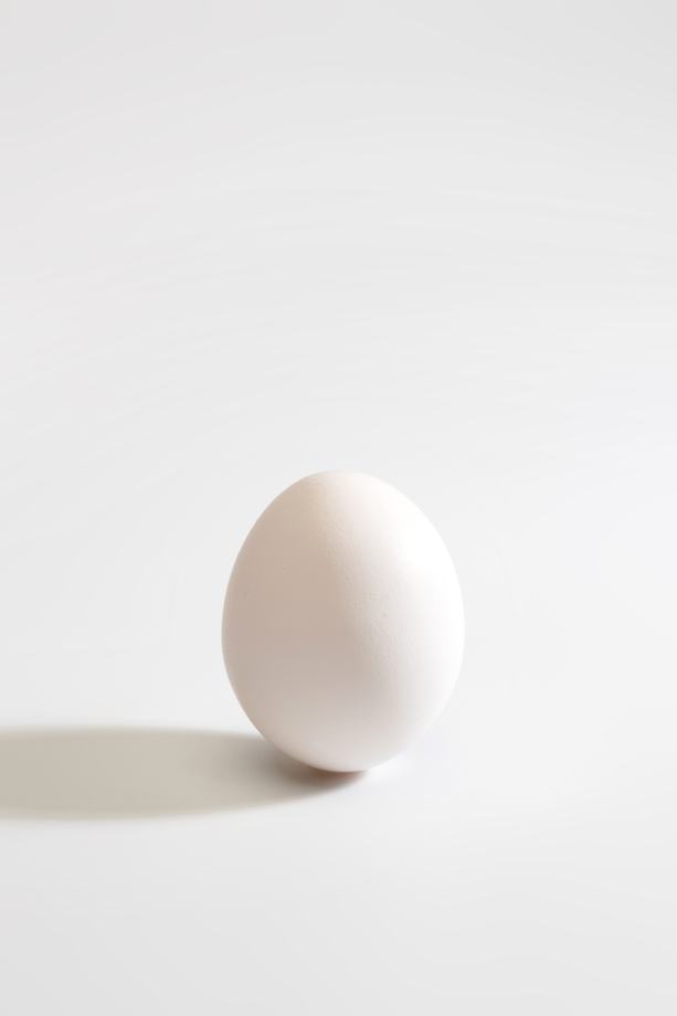 白色背景下的一个鸡蛋 白色背景下的一个鸡蛋