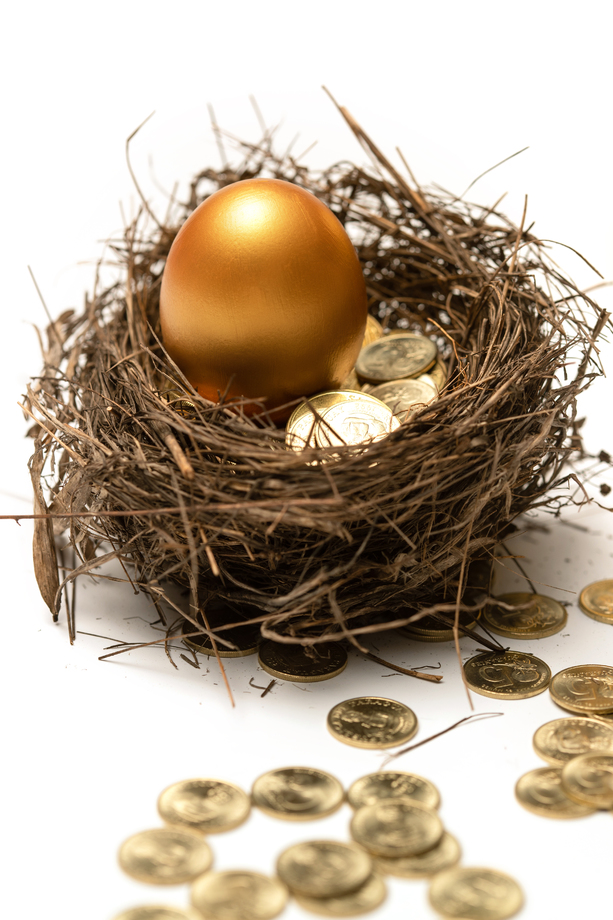 鸟窝里的金蛋和金 鸟窝里的金蛋和金