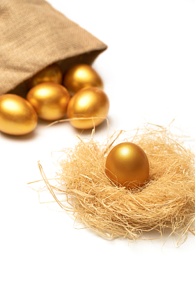 草窝里的金蛋图片