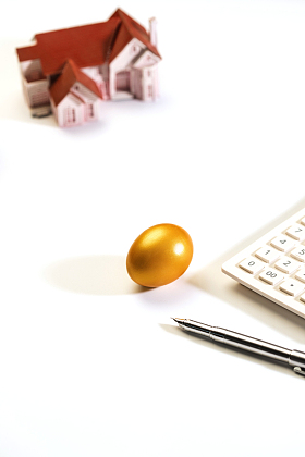 房屋模型和金蛋图片