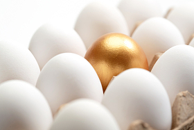 一盒鸡蛋中的金蛋照片