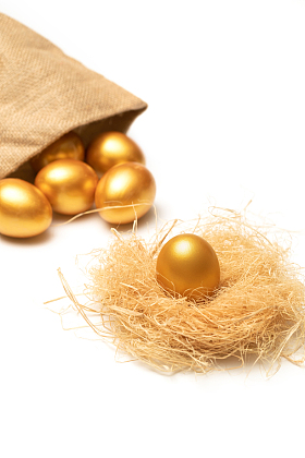 草窝里的金蛋图片