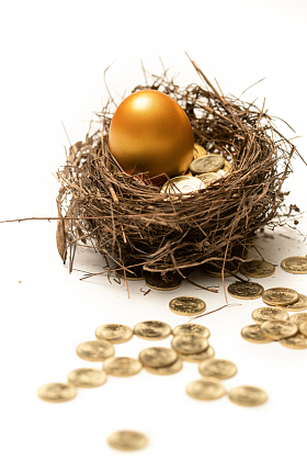 鸟窝里的金蛋和金币图片