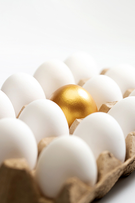 一盒鸡蛋中的金蛋