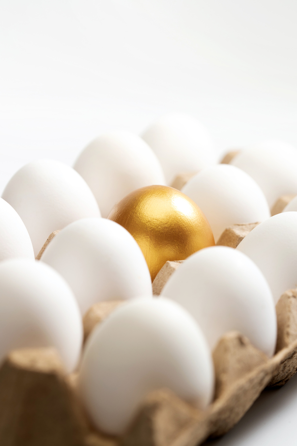一盒鸡蛋中的金蛋