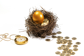 鸟窝里的金蛋金币和怀表图片