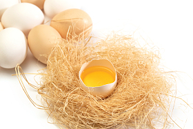 完整的鸡蛋和巢里破碎的鸡蛋