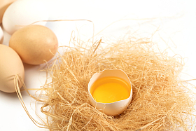 完整的鸡蛋和巢里破碎的鸡蛋