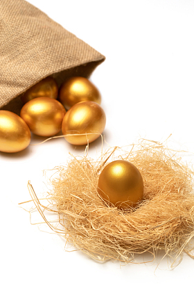 草窝里的金蛋照片