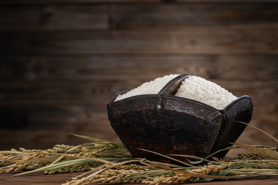 一斗大米和水稻穗 一斗大米和水稻穗