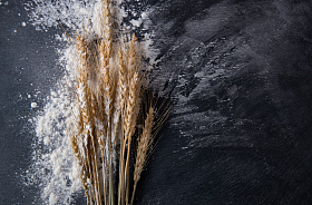 黑色背景下沾满面粉的麦穗照片