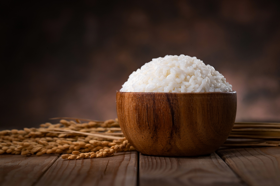 一碗米饭和水稻 一碗米饭和水稻