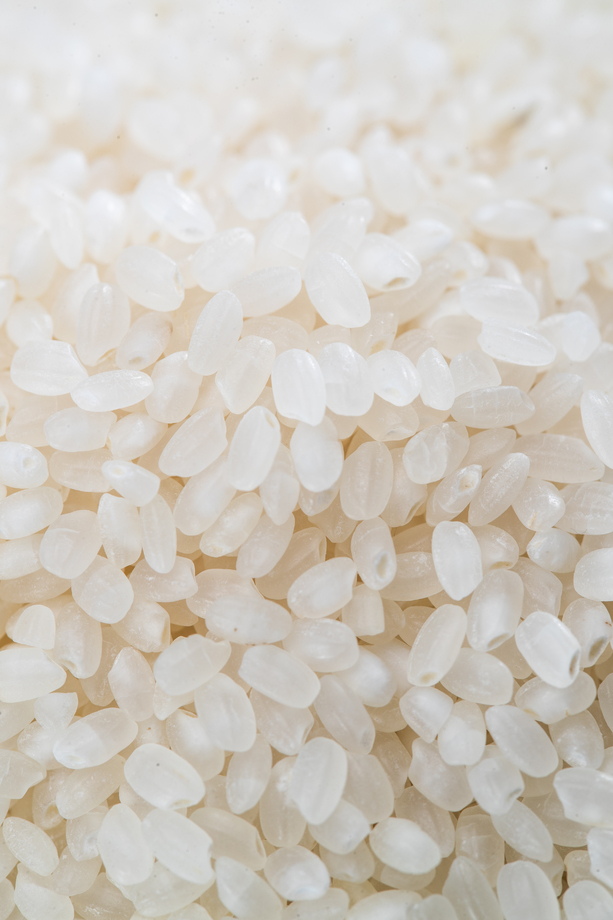 铺满画面的大米图片 铺满画面的大米图片